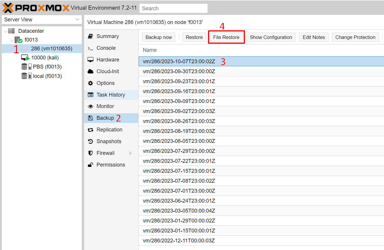 File Restore button in the Backup section